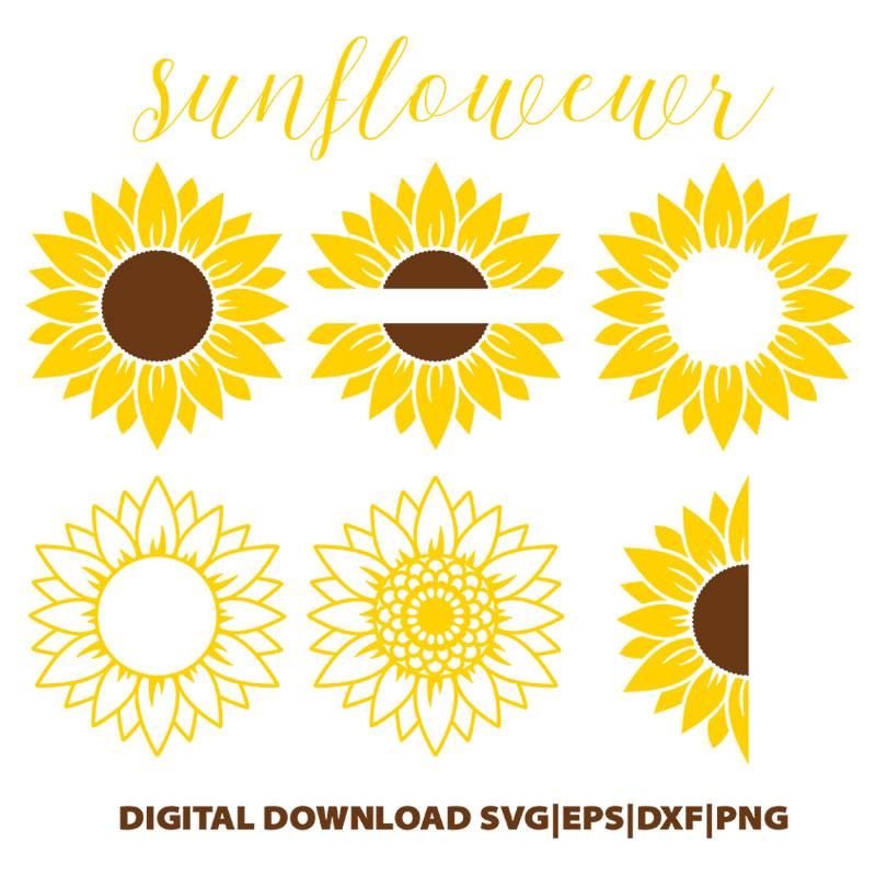 sunflower svg,half sunflower svg,sunflower monogram svg,Floral svg